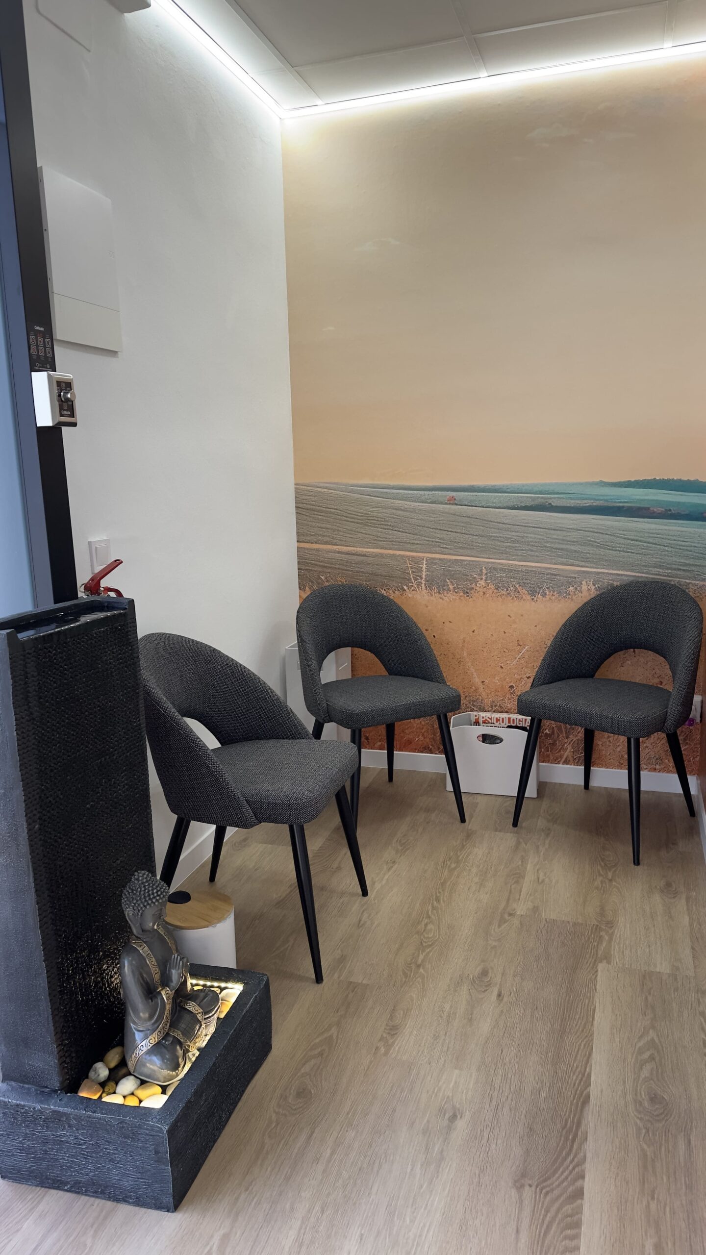 Zona de espera de la consulta